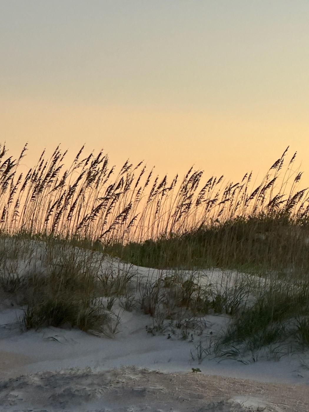 St Augustine Beach